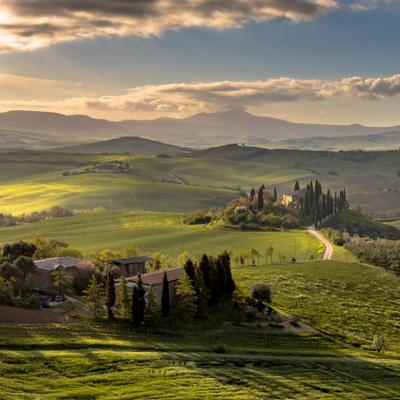 Viaggi Enogastronomici Gruppo Toscana