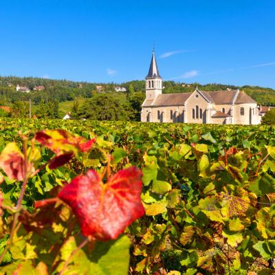 Borgogna Francia Viaggi Organizzati