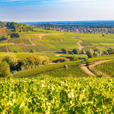 Viaggi Organizzati Borgogna Francia