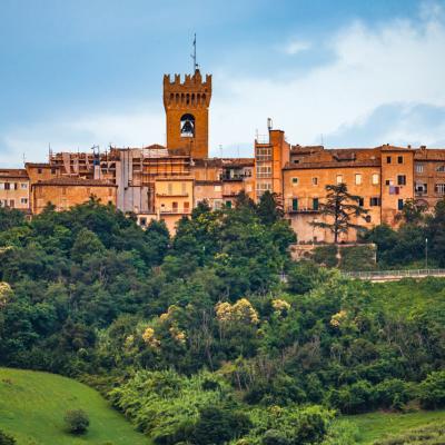 Tour Organizzati Recanati