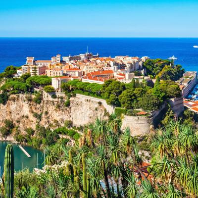 Monte Carlo Tour Organizzato