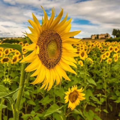 Abruzzo Tour Organizzati Di Gruppo