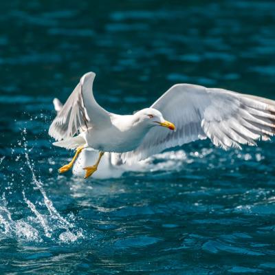 Parco Del Cilento Viaggi Organizzati