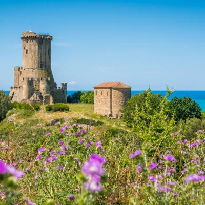 Parco Del Cilento Viaggio Con Guida Turistica