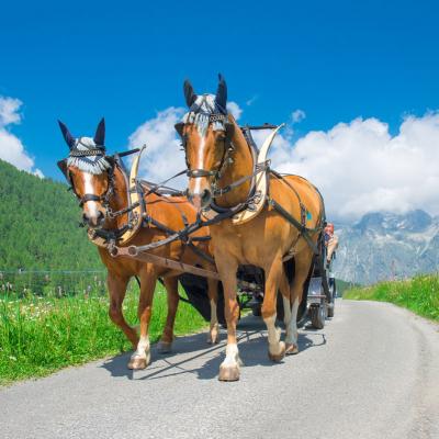 Alpi Austriache Viaggi Organizzati