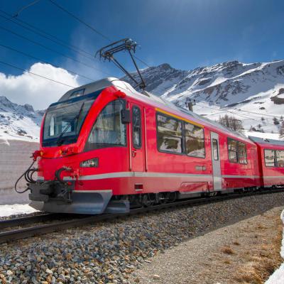 Trenino Rosso del Bernina, viaggi bus, Svizzera