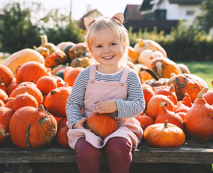 Viaggio in pullman per scoprire la sagra della  zucca a Santa Maria Maggiore